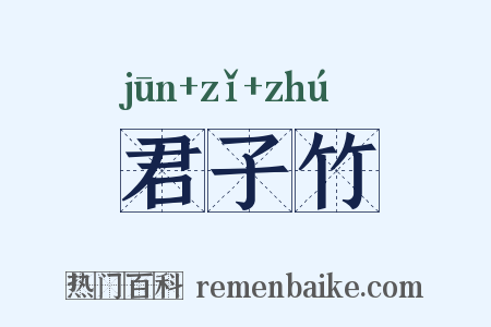 君子竹是什么意思的图片